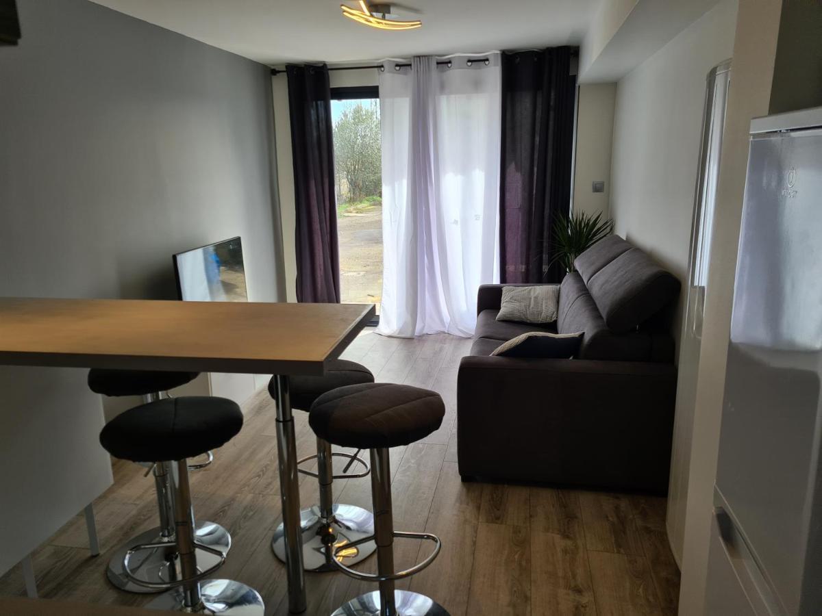 Spacieux Studio Dans Le Beaujolais Saint-Georges-de-Reneins Экстерьер фото